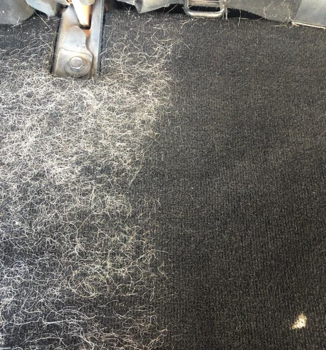 Gæludýrabursti (með fjórum hliðum)